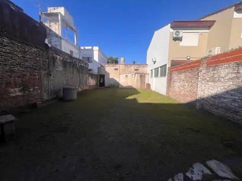 Leonismo Argentino 3200