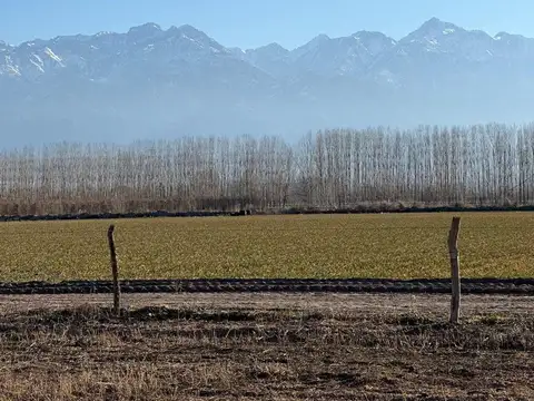 TERRENO EN VENTA 2150MTS VISTA FLORES TUNUYAN