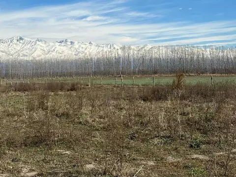 TERRENO EN VENTA 2150MTS VISTA FLORES TUNUYAN