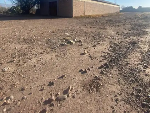 Terreno en Venta de 10000,0 m2