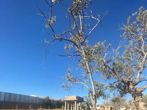 Terreno en Godoy Cruz