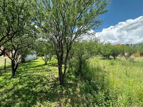 MZA C LOTE 6 - ARROYO DE LOS PATOS 100