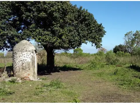 Casa antigua a refaccionar sobre amplio terreno! 1800 m2 - Barrio Quinto Cuartel - Victoria, En...