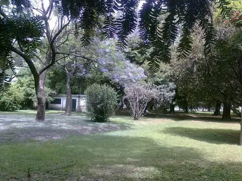 Benito Perez Galdos 400