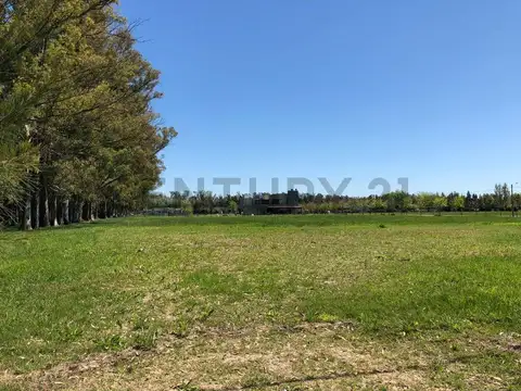 Terreno en Venta 65  mts Fondo