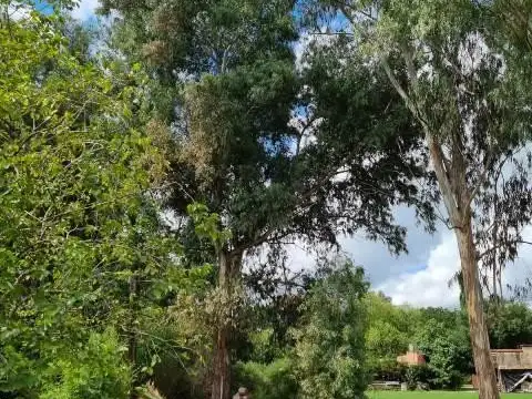 Terreno en Venta en Loma Verde, USD 97.000