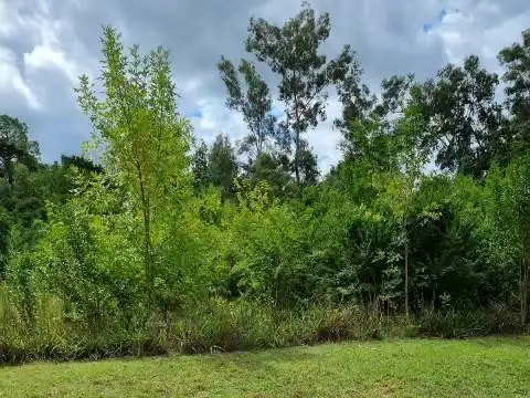 Nigromante esquina Los Abedules