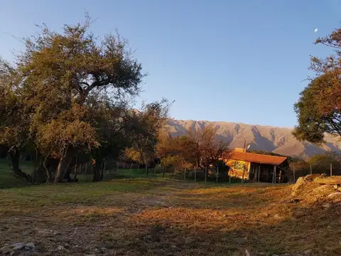 Terreno en Venta en Cerro De Oro, USD 18.000