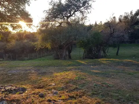 Lote en Calaguala, Merlo simplemente Magico