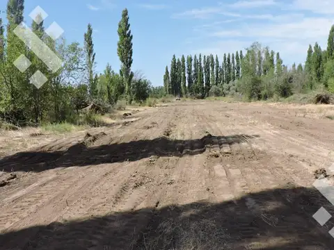 Lote "Loteo Dipp" Neuquen 250 m2