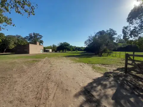 CARLOS PELLEGRINI 1000