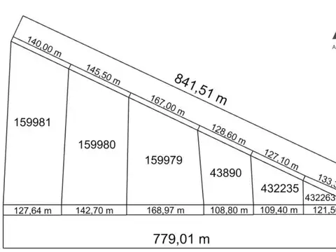 Ruta 101