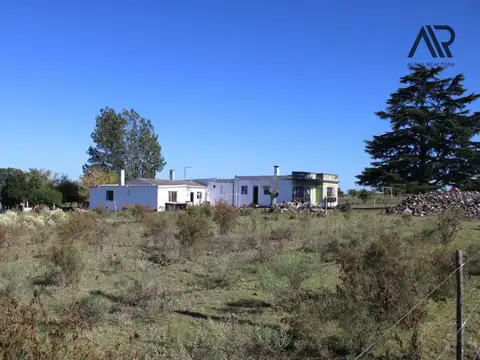 Ruta 101