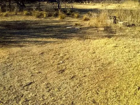 Campo de 593 has en Puerto Alegre, San Luis