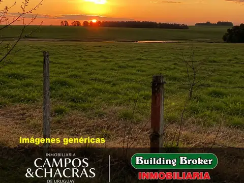 Camino Sierras de Garzón