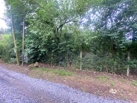 Terreno en Venta 37  mts Fondo