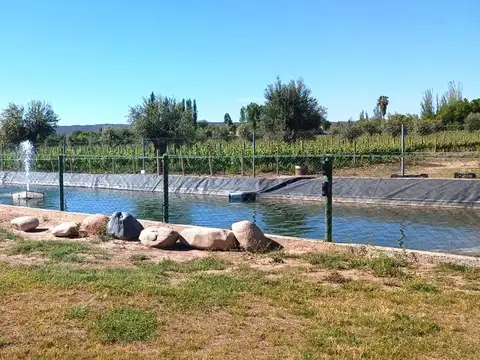 VENTA LOTE BARRIO PRIVADO MAIPU