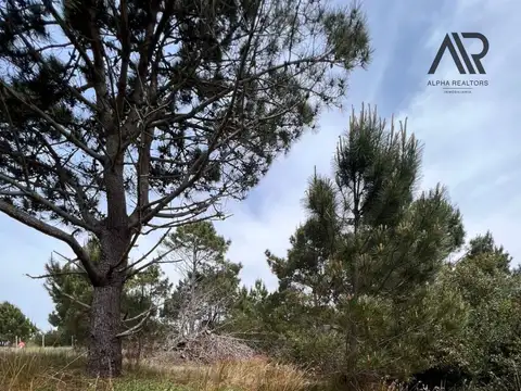 Terreno en Venta de 510,0 m2