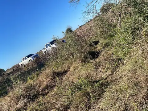 Campo en venta