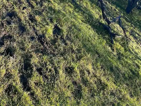 Campo en venta