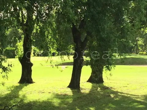 Terreno en Venta de 800,0 m2