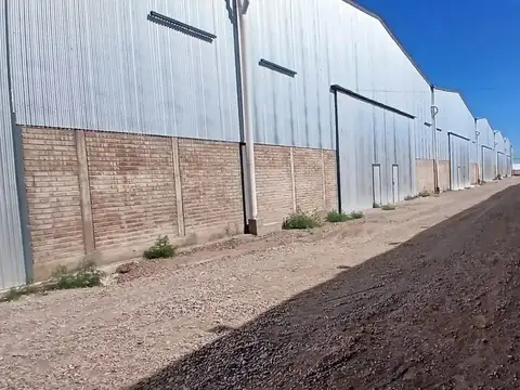 Rodríguez Peña 6000