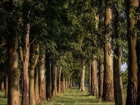 RUTA 2 Km 65 Cnel BRANDSEN