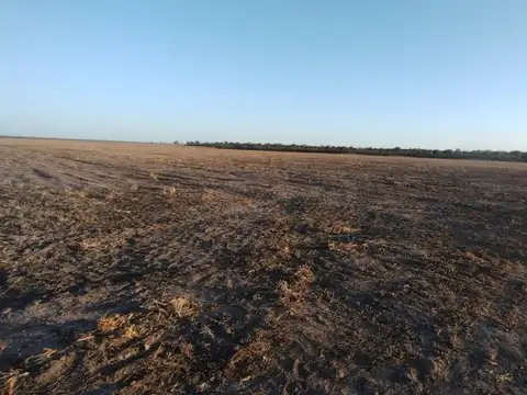 Campo de 586 HAS en Guasayán, Santiago del Estero