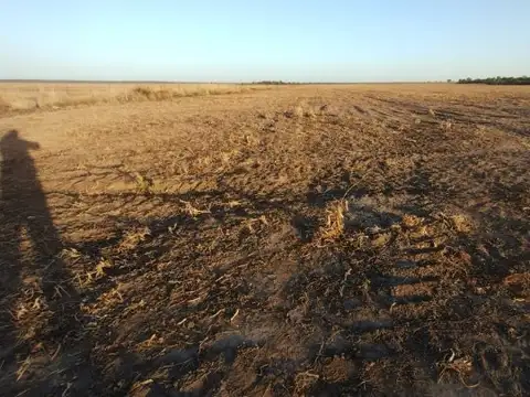 Ruta nacional 157