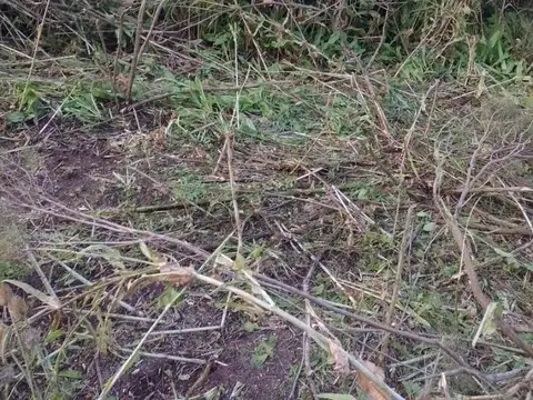 Terreno en Venta en Arana, USD 450.000