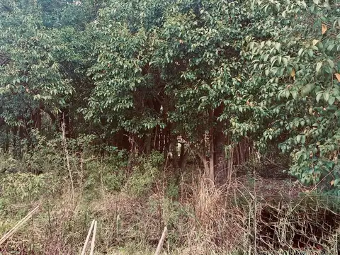 LOTE 400 MTS VILLA CATALINA BARRIO CAMPOS VERDES