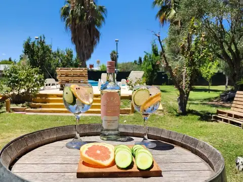 CASA QUINTA, PILETA, FRUTALES, CALLE SERPA, MAIPU