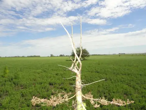 A 2000 ms RUTA 14 Perdices