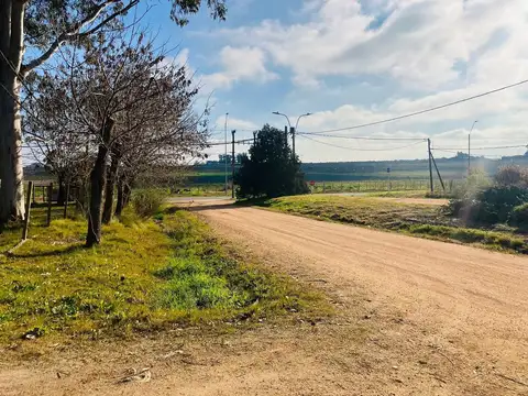Local en Alquiler en Pando, $U 16.000