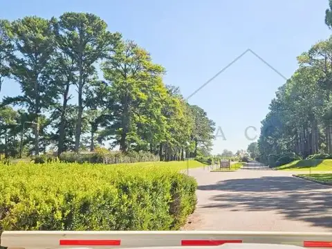 Terreno en Venta 50  mts Fondo