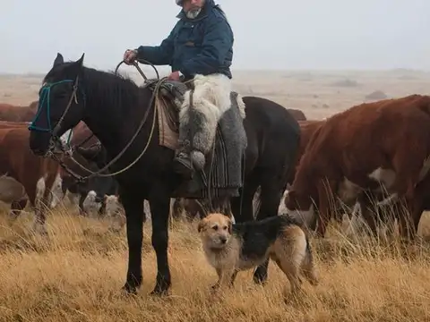 Campo en Venta con Alambrado