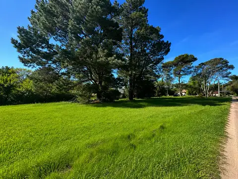 San José 0