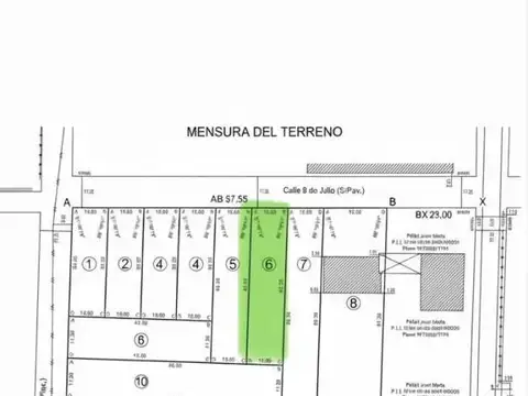 VENTA DE TERRENO EN LA LOCALIDAD DE NUEVO TORINO