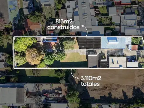 santiago lavandera 700