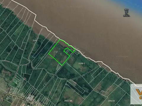 Campo en venta - 33 hectáreas totales - Berisso, Los Talas