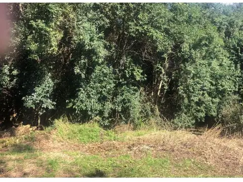 Terreno en Venta de 14292,0 m2