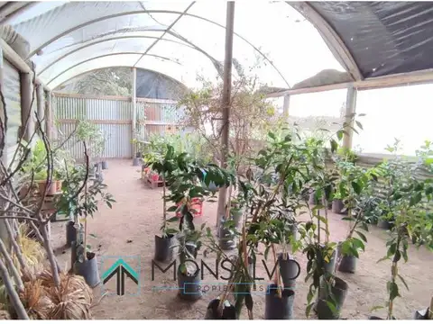 Terreno en Venta de 50622,0 m2