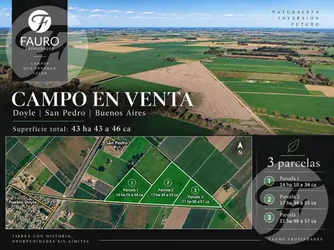 CAMPO AGRÍCOLA DE 43,43 HECTÁREAS EN VENTA – DOYLE, SAN PEDRO