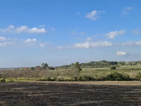 Baradero