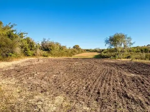 Baradero