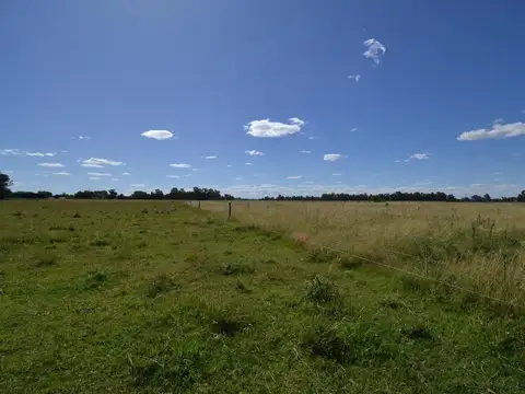 CAMPO EN VENTA CON MEJORAS CERCADO TOTALMENTE Y DOS ACCESOS POR RUTA 41 Y POR RUTA 3