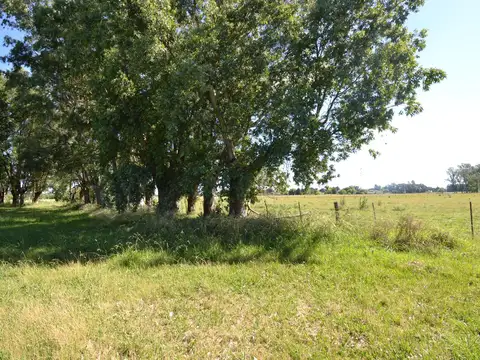 CAMPO EN VENTA CON MEJORAS CERCADO TOTALMENTE Y DOS ACCESOS POR RUTA 41 Y POR RUTA 3