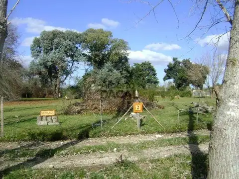 Terreno - Villa Elisa