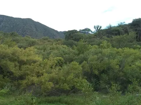 SE VENDE TERRENO 3598 M2 EN POMANCILLO, FM ESQUIÚ