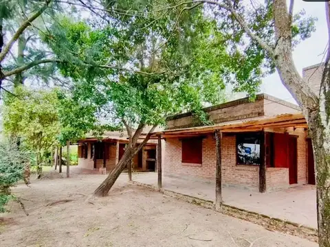 Dorado